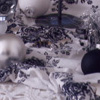 decoration_004.jpg