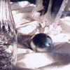 decoration_005.jpg