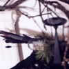decoration_008.jpg