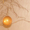 decoration_010.jpg