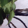 decoration_011.jpg