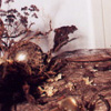 decoration_015.jpg
