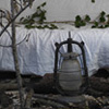 decoration_016.jpg