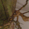 decoration_018.jpg