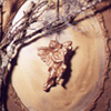 decoration_030.jpg