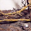 decoration_035.jpg