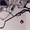 decoration_036.jpg
