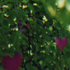 evenement_003.jpg